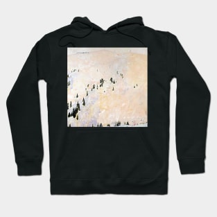 saint anton flat light 1996 Hoodie